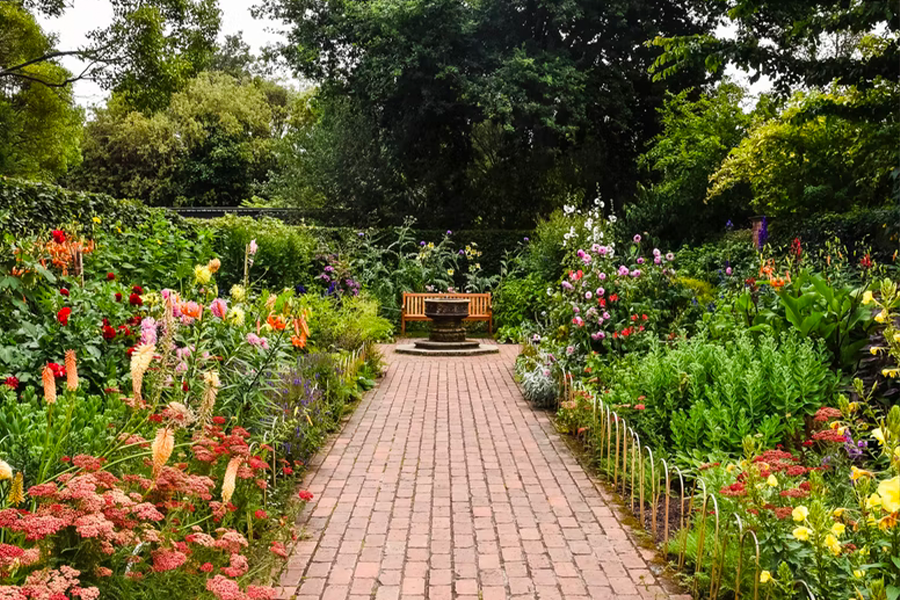 Wilder Garten mit gemauertem Weg