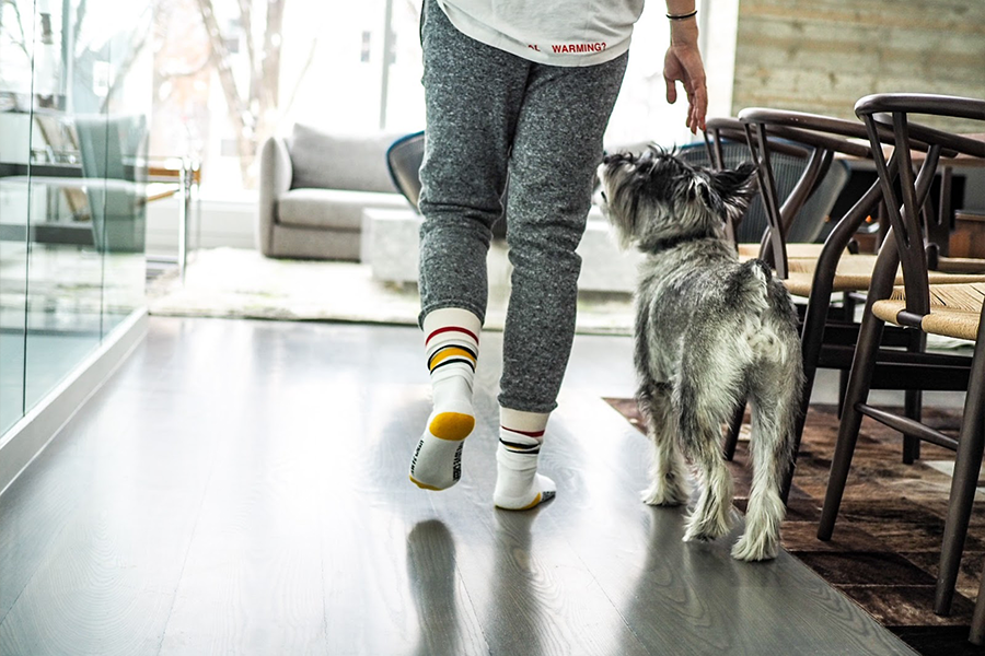 Pavimento in vinile grigio in legno con una persona e un cane che camminano