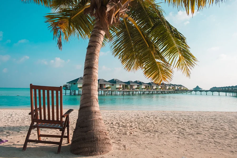 Chaise de plage en bois sous un palmier à côté de l'eau