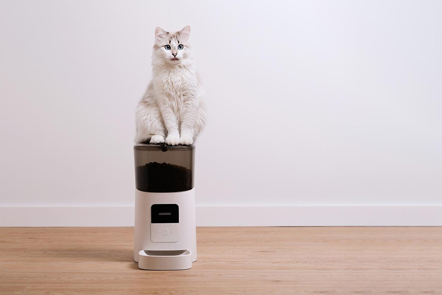 Un gato sentado en un dispensador de comida para mascotas