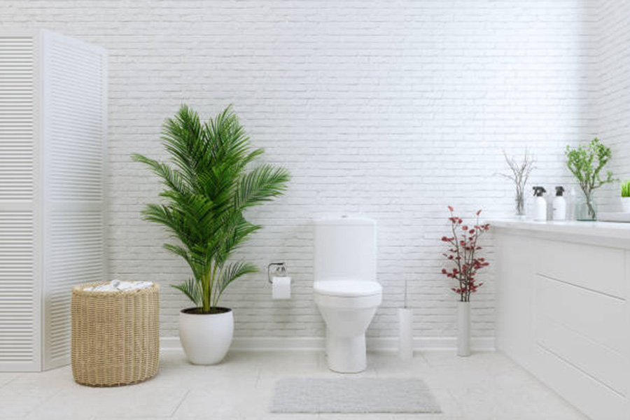 Inodoro blanco en un baño completamente blanco con plantas