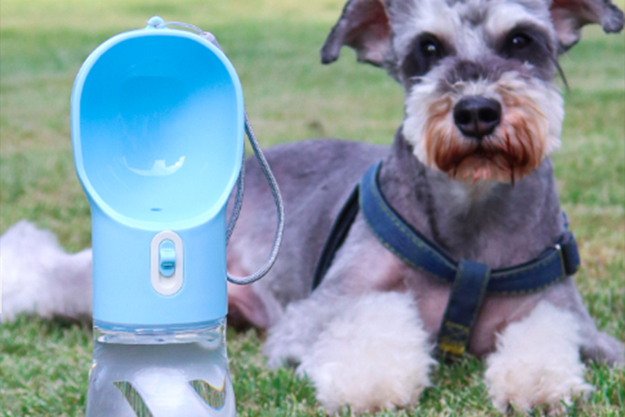 Wasserflaschen für Hunde sind diesen Sommer ein Muss