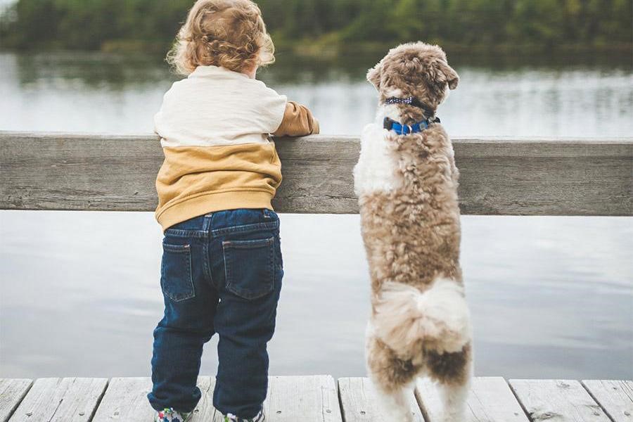 Enfant en jeans au bord d'une rivière avec un chien