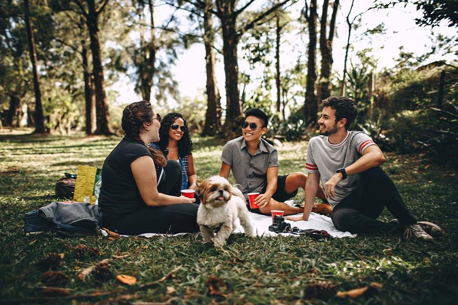 Um grupo de amigos reunidos para um piquenique