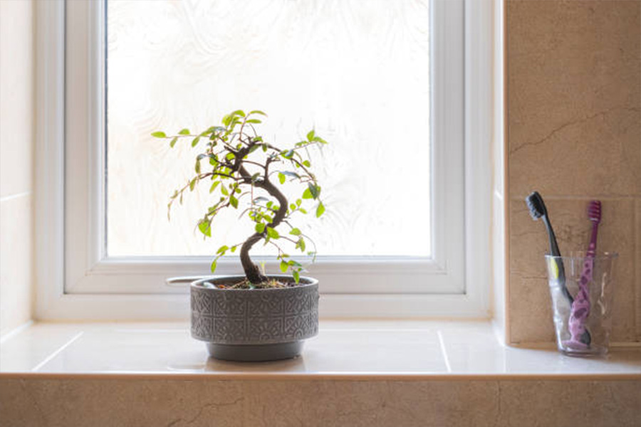 pianta bonsai artificiale in miniatura in un vaso decorato grigio