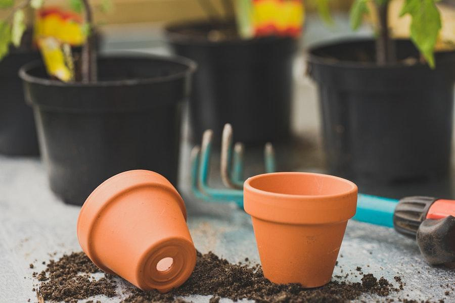 Deux pots en terre cuite sur du sol