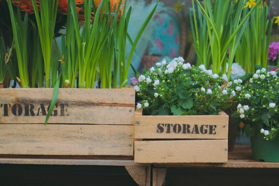 Récipients en bois contenant de belles plantes