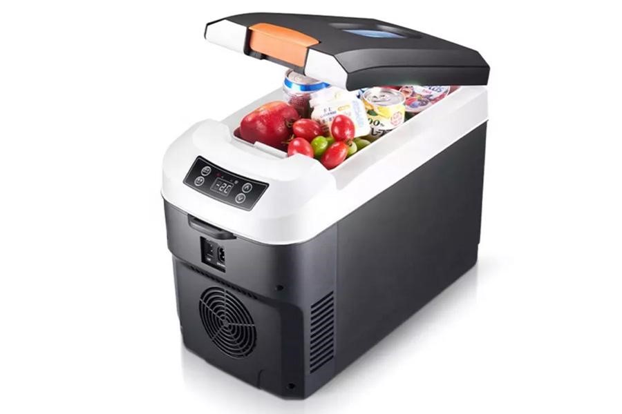 Frigo per auto termoelettrico di piccole dimensioni con frutta dentro