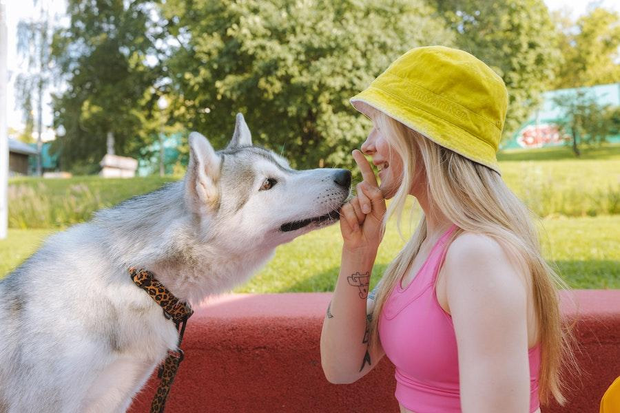 Wanita bertopi kuning bermain dengan seekor anjing