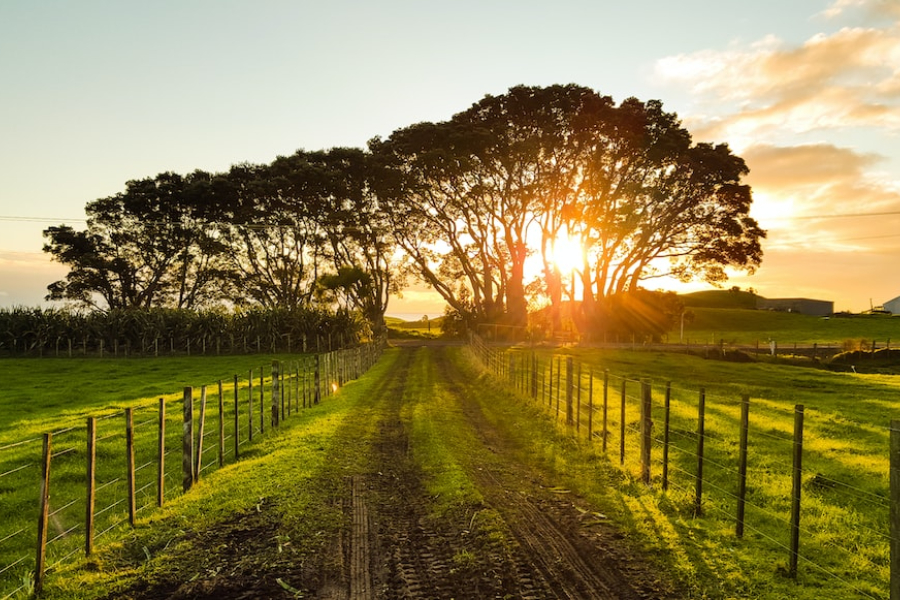 strada poderale che conduce al tramonto lontano