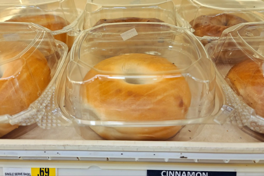 Bagels embalados individualmente em caixas de comida tipo concha