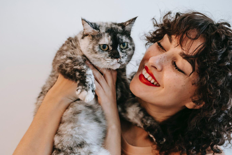 mujer, con, mullidas, cejas, tenencia, un, gato