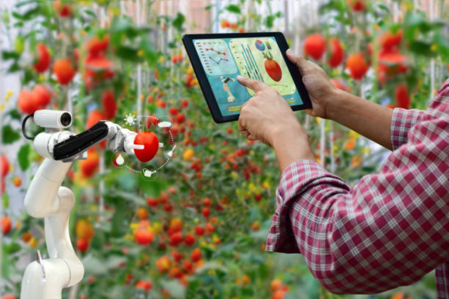 Un agriculteur tenant une tablette de contrôle robotique pendant la récolte